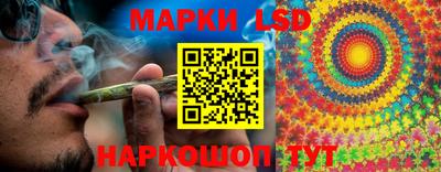 твердый Лесосибирск