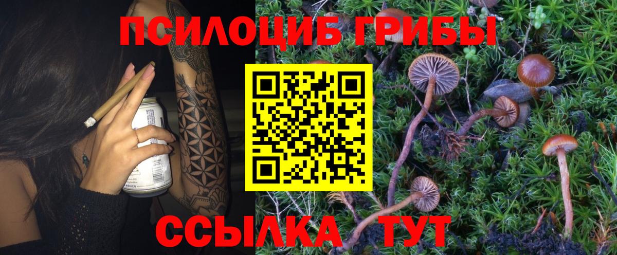 Псилоцибиновые грибы ЛСД Калуга
